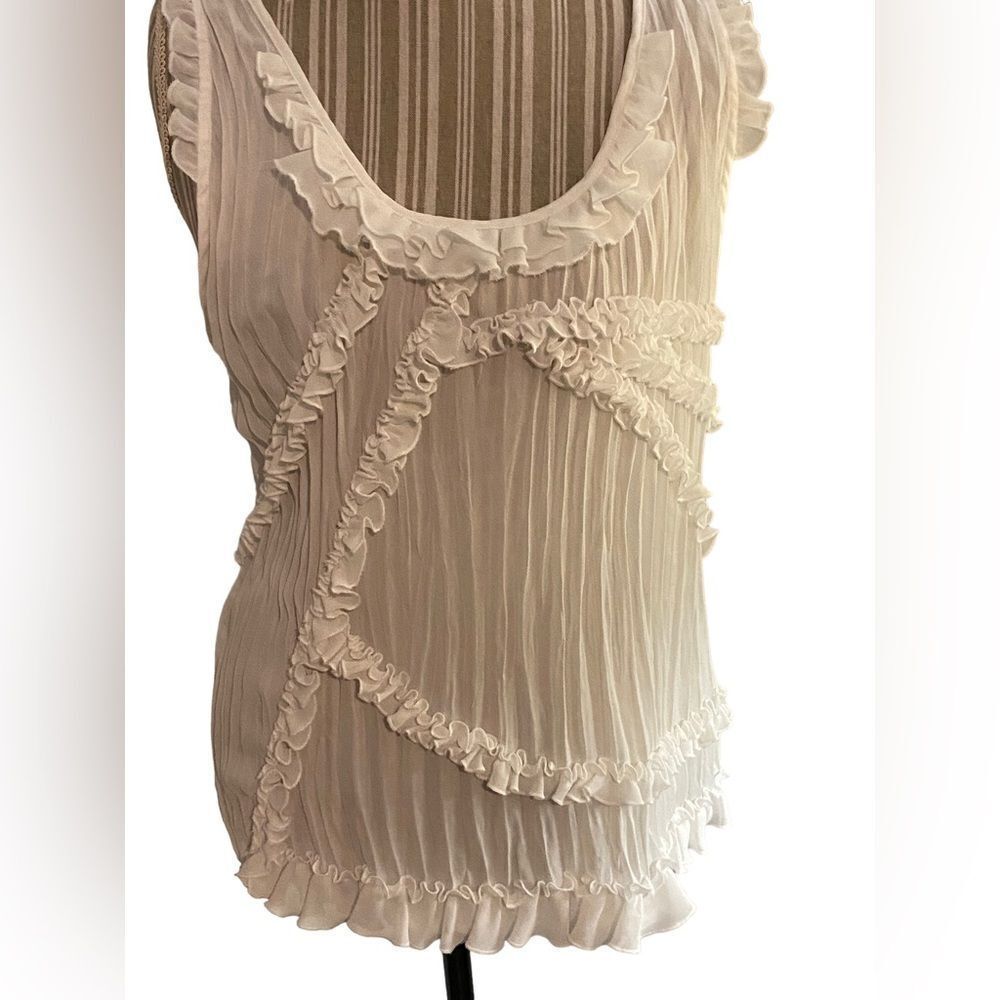 Sunny Leigh size xL sheer too with ruffle accents never worn see pics